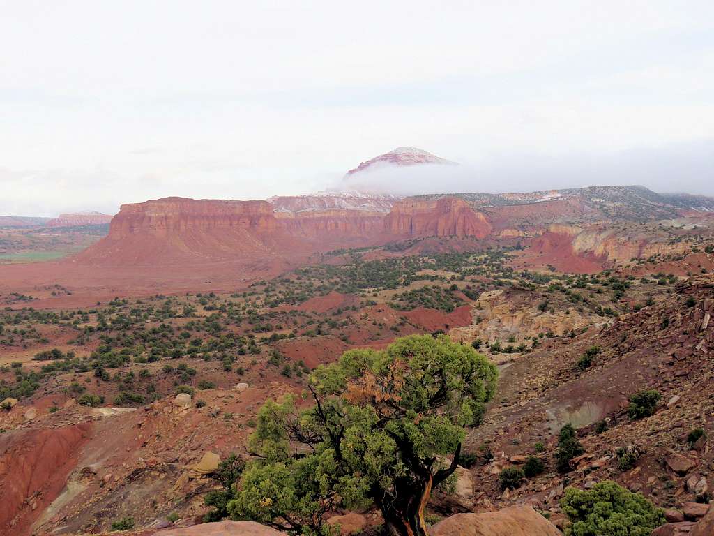 From Cooks Mesa