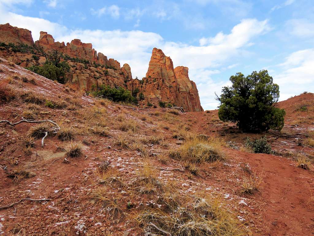 On Cooks Mesa