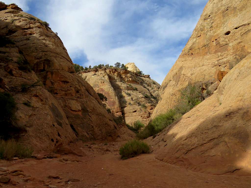 Capitol Gorge Narrows