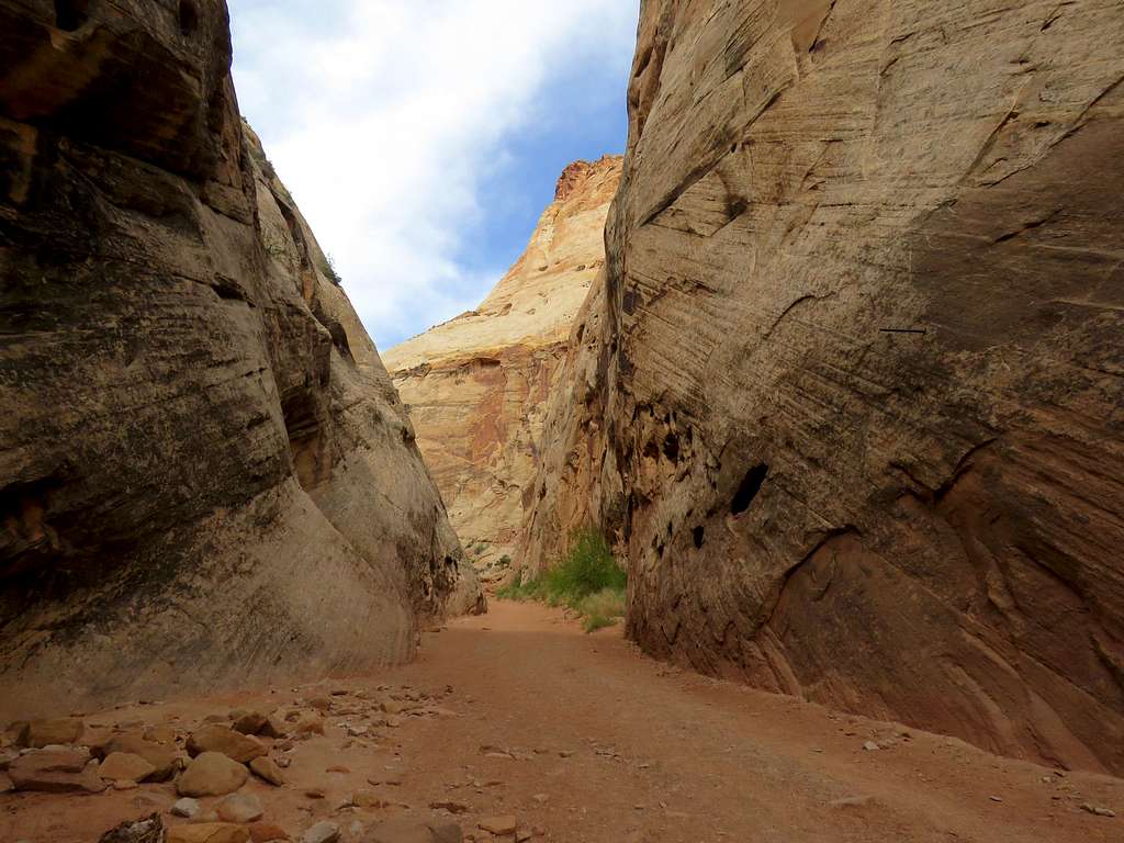 Capitol Gorge Narrows
