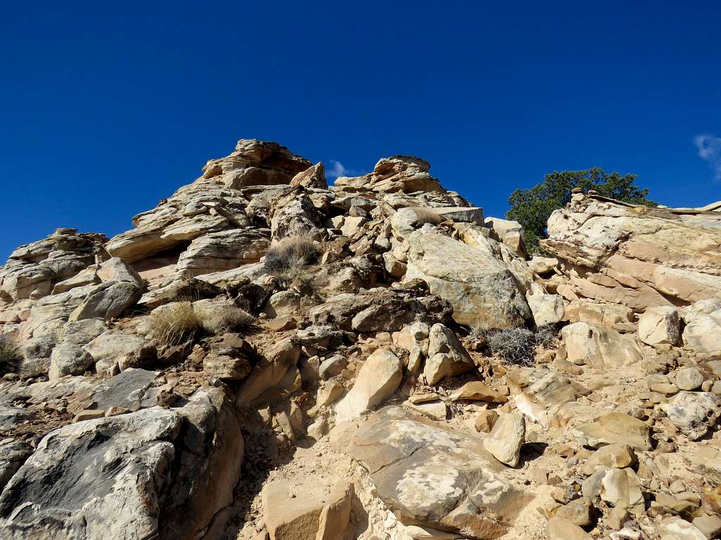 Climb up to the summit of Navajo Knob