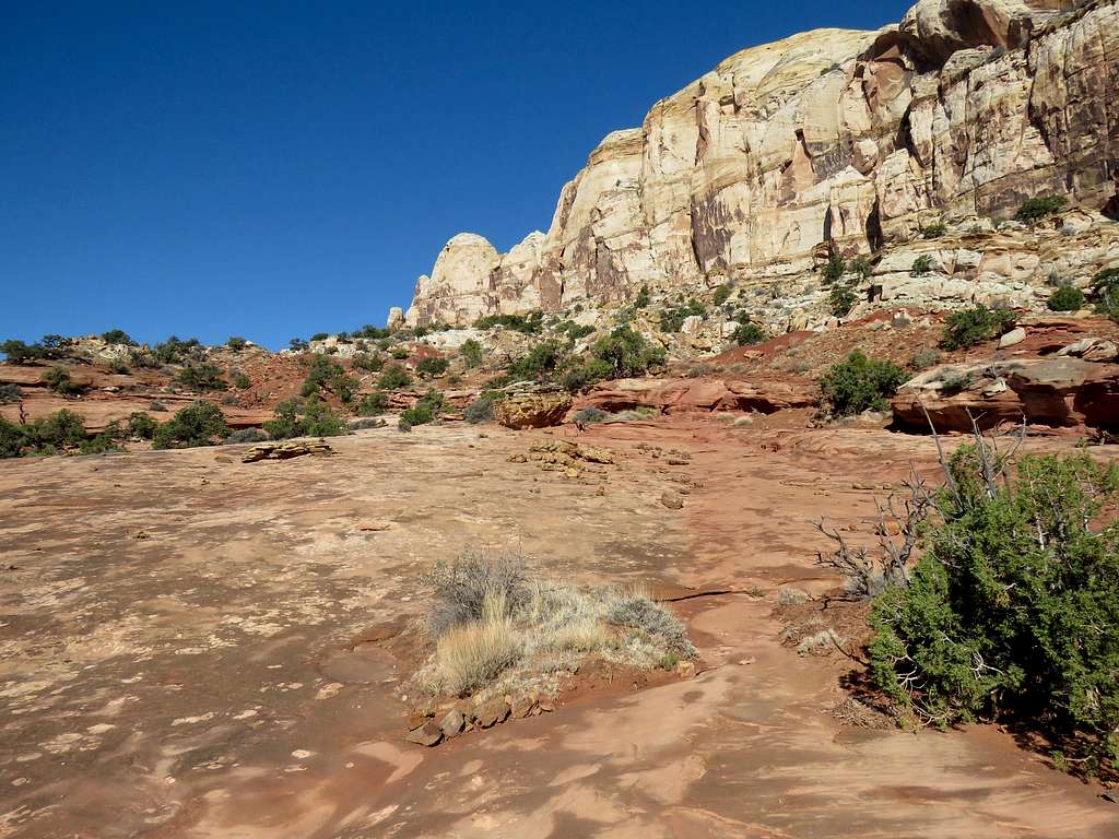 On Navajo Knobs Trail