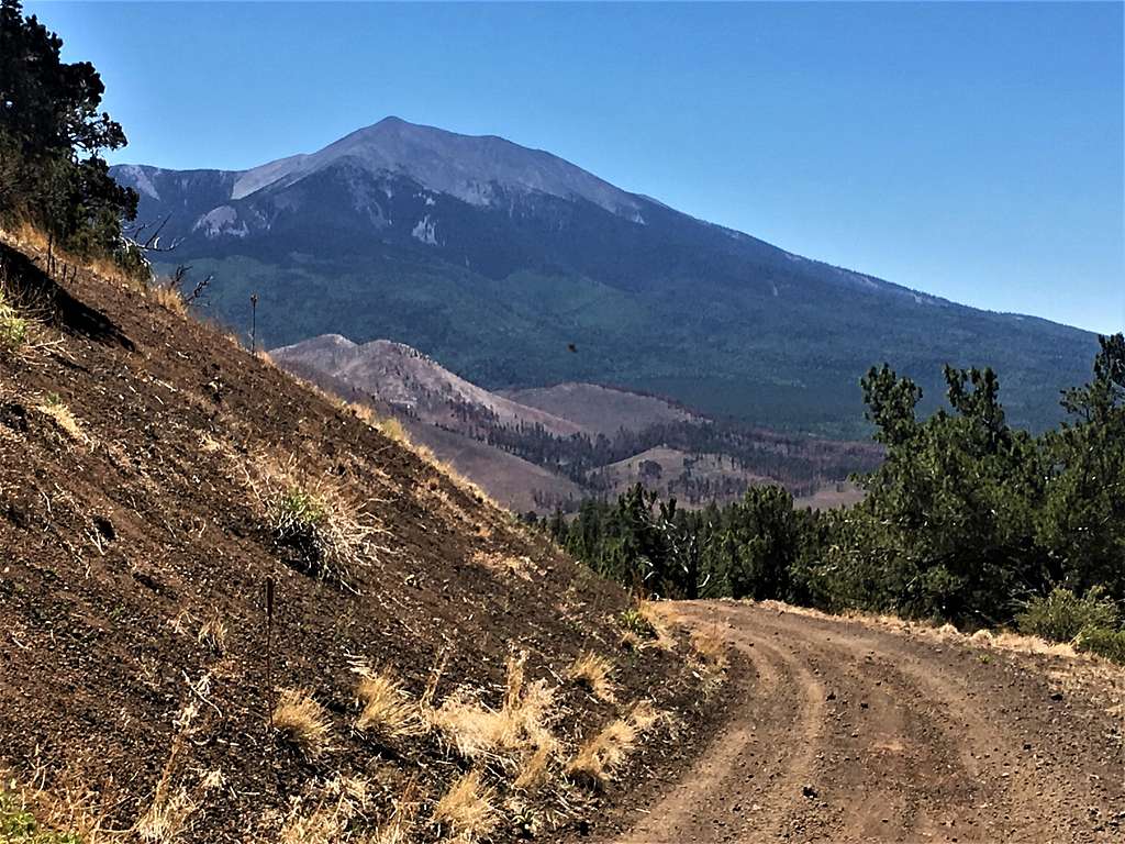 View of Humphreys Peak 12,633' from the descent