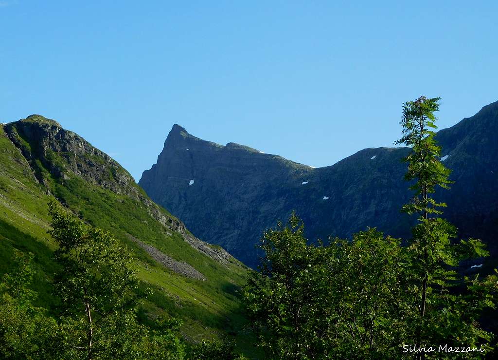 Hornindalsrokken from the approach trail