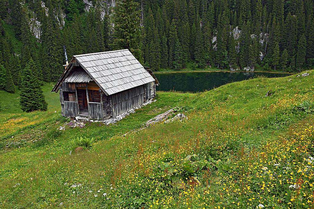 Jezero alpine meadow