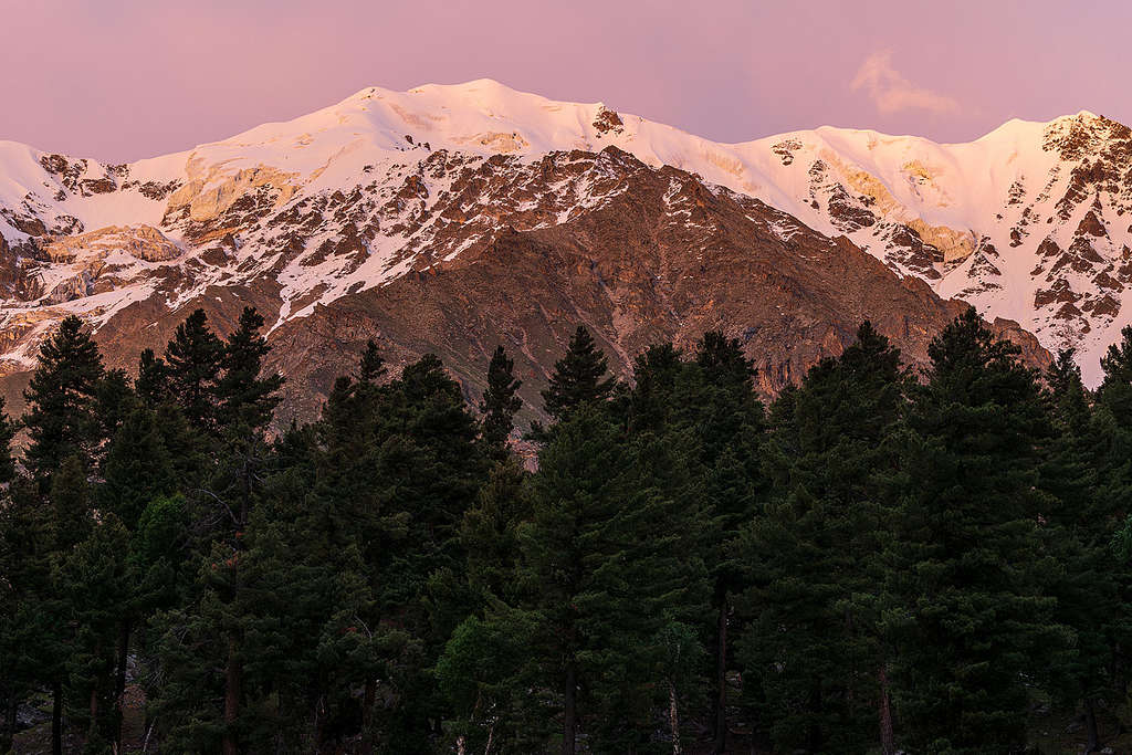 Burdal peak