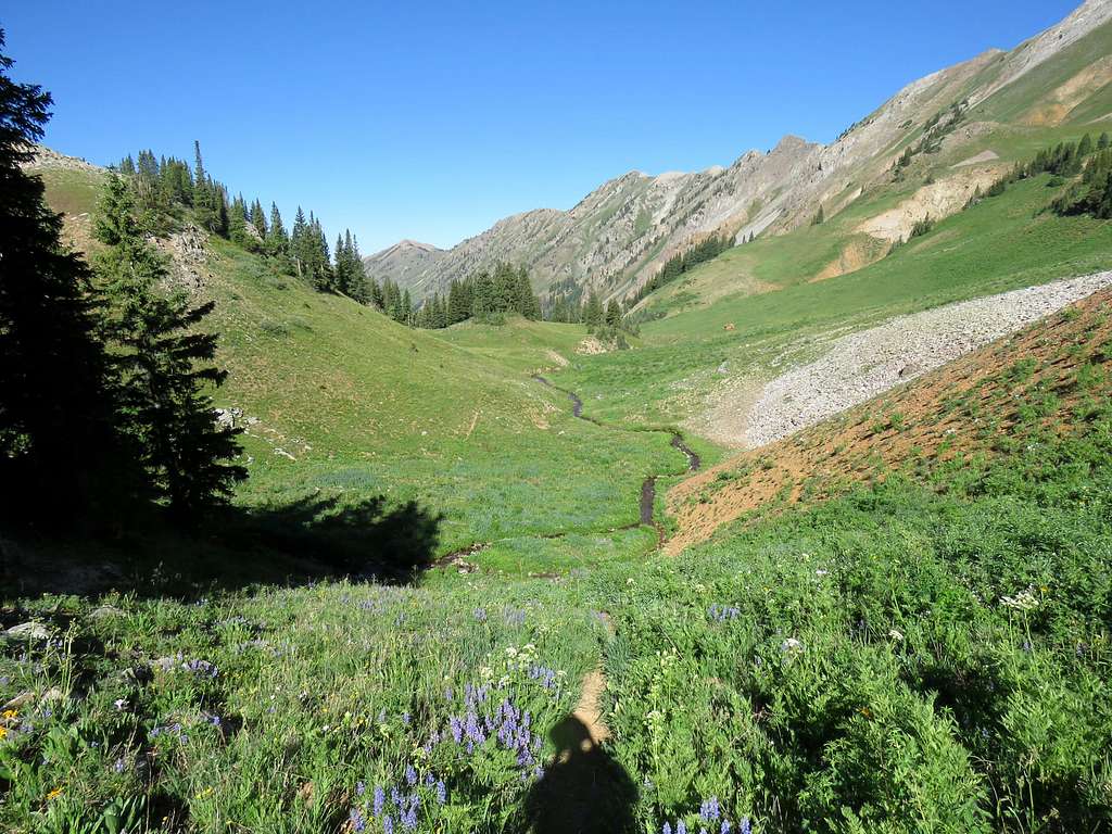 Elk Mountain, far left