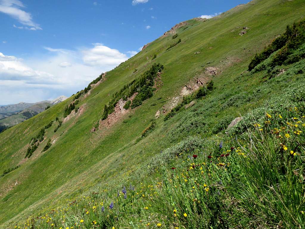 Steep grassy western slopes