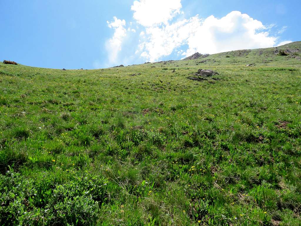 Steep grassy western slopes