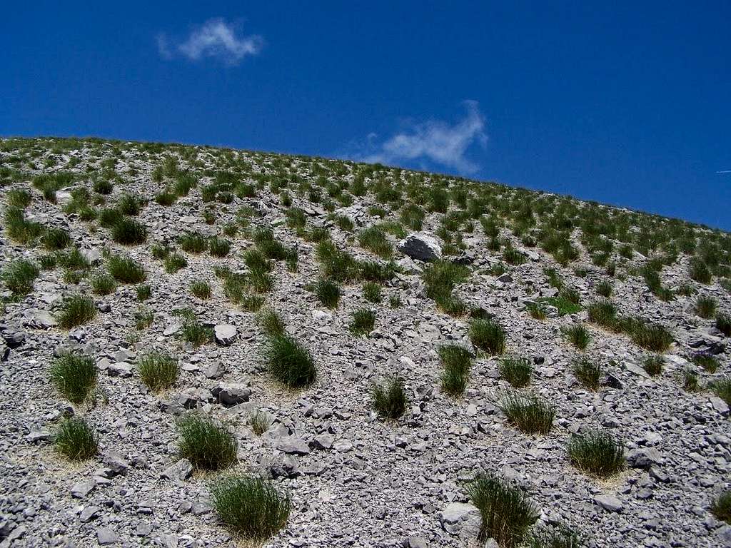 Desert in Europe