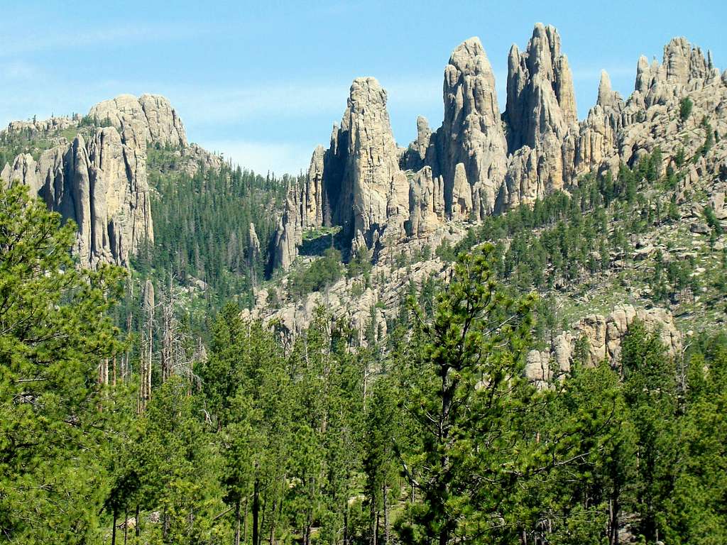 View from Needles Highway