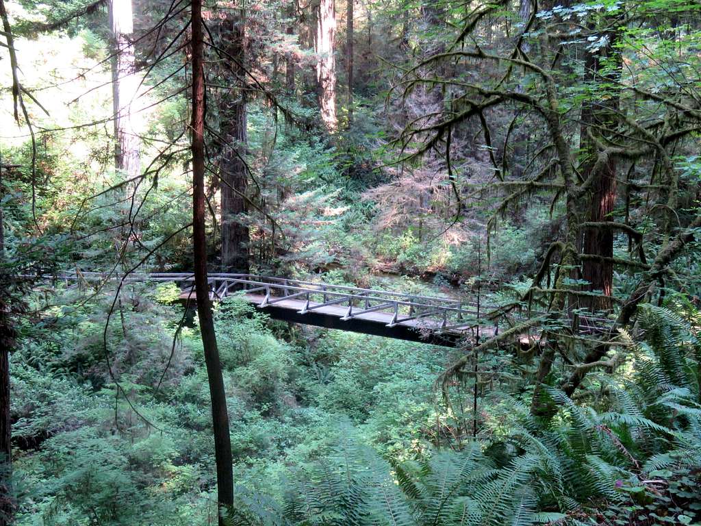 Bridge on Foothill Trail