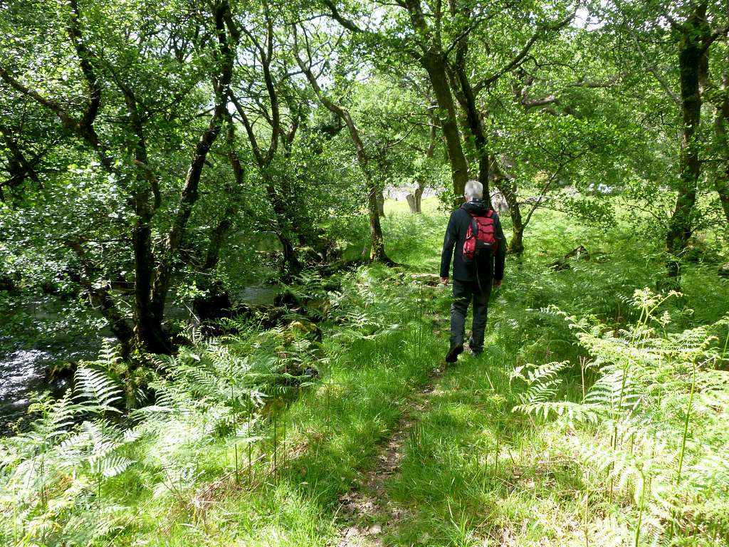 Strolling by the Afon Llugwy