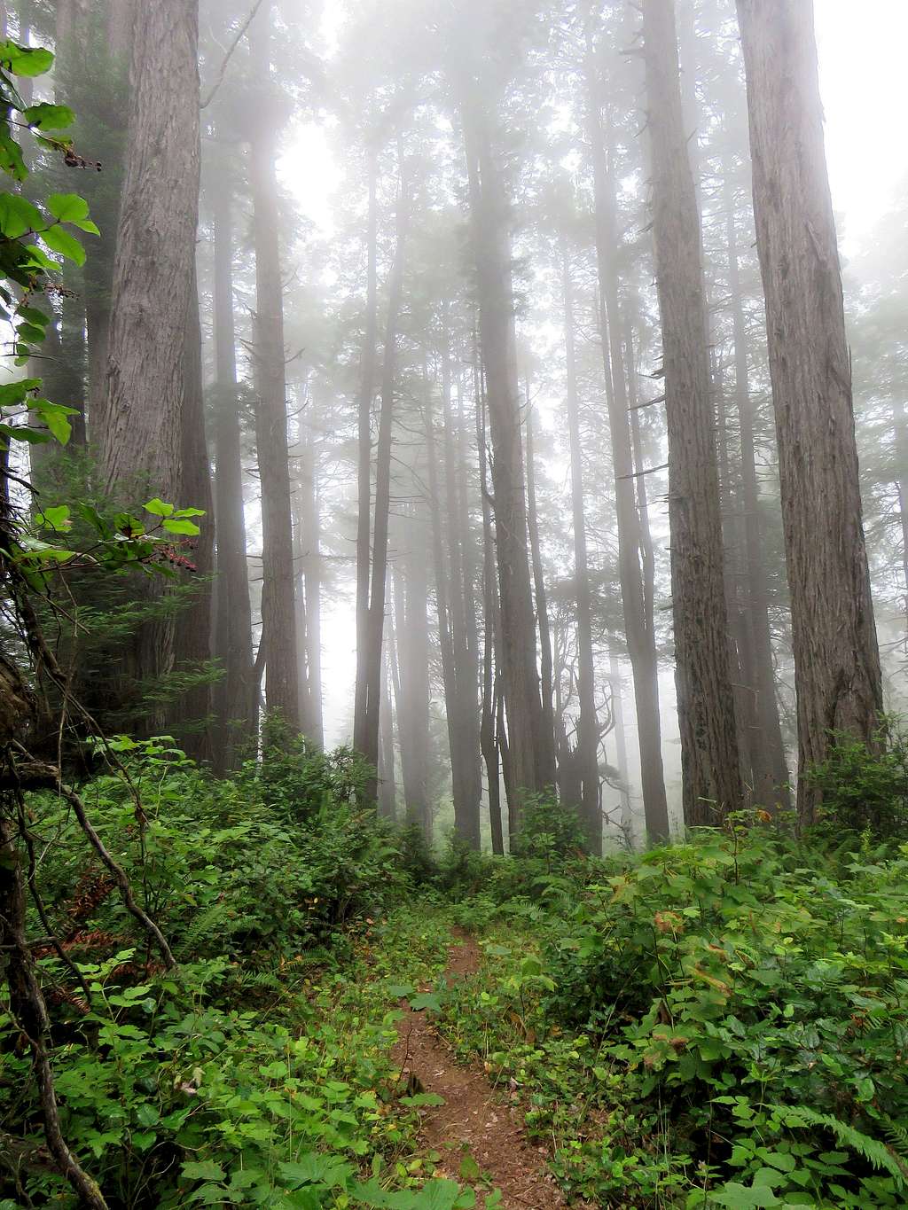 West Ridge Trail