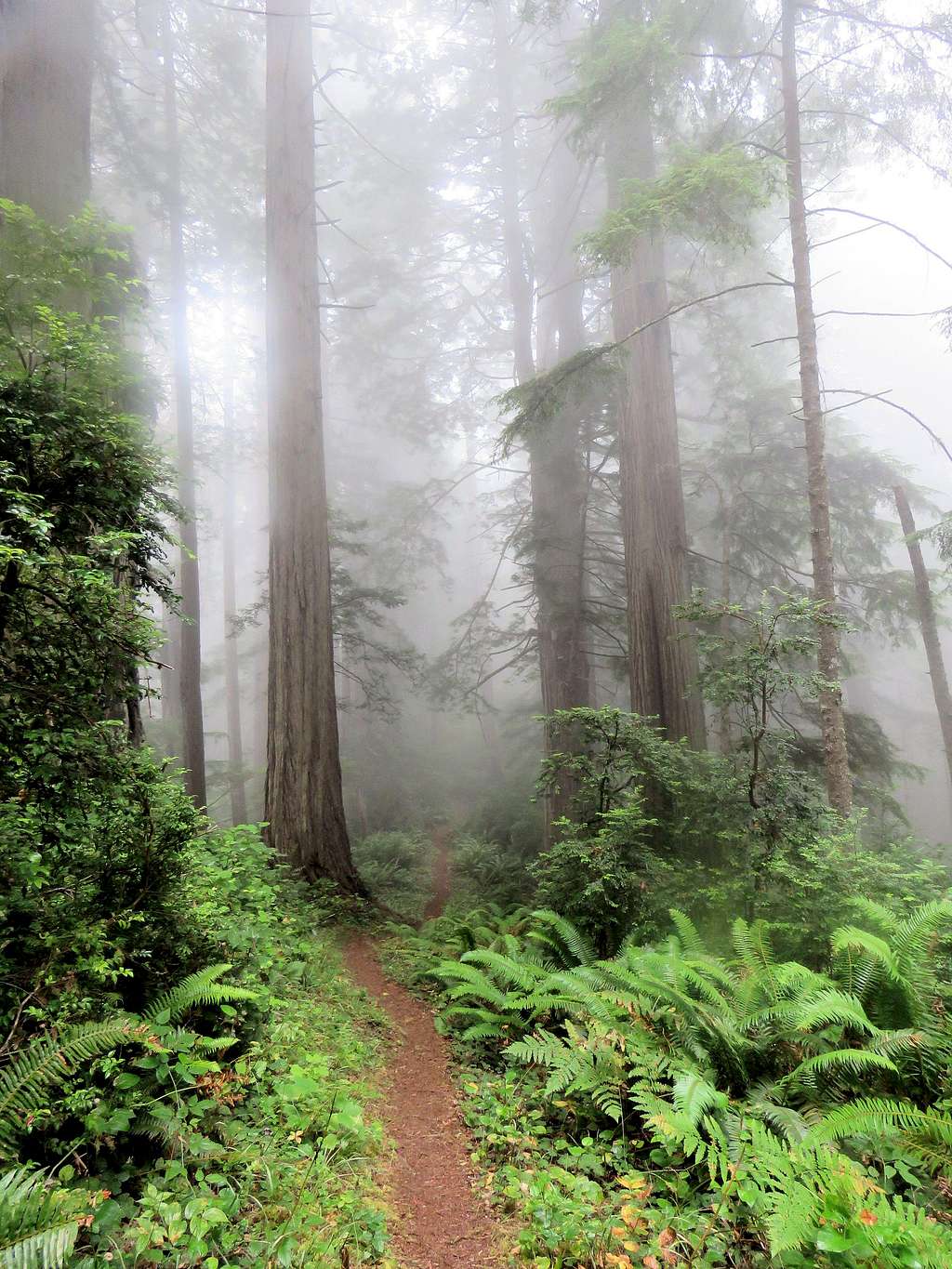 West Ridge Trail