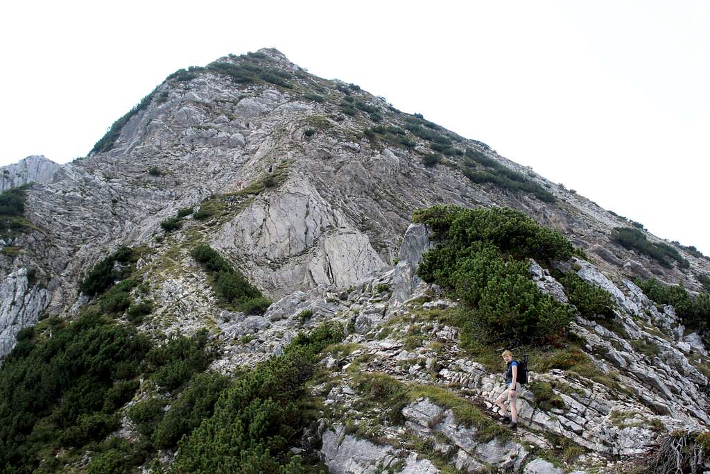Seekarspitze - Seebergspitze traverse. Scrambling towards the summit of the Seebergspitze
