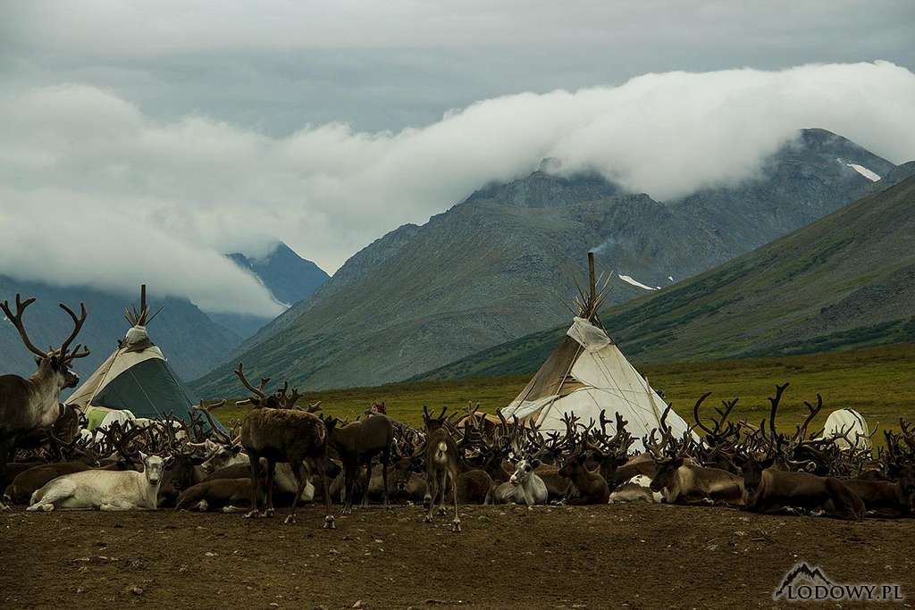 Khadata river valley - Polar Urals