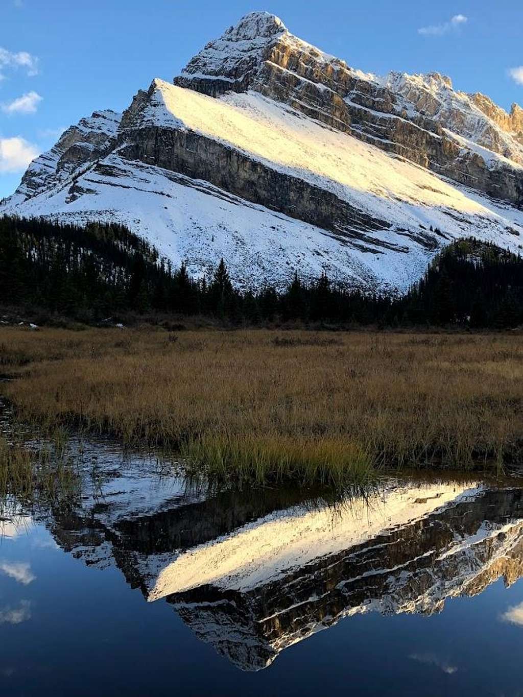 Fall views in the Canadian Rockies