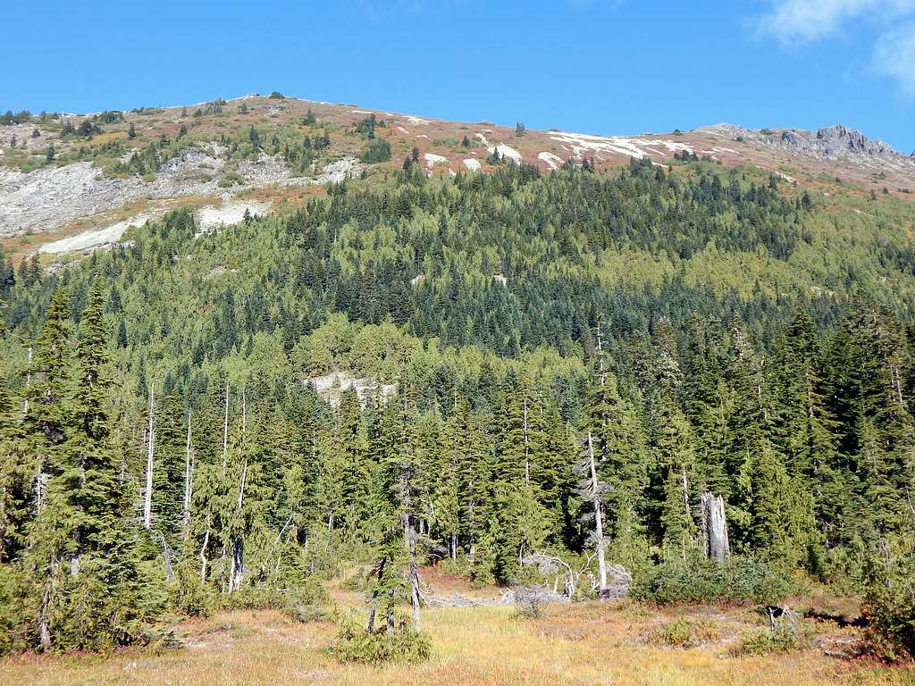 Mount Townsend from Paradise Meadow enroute to Burley Mountain