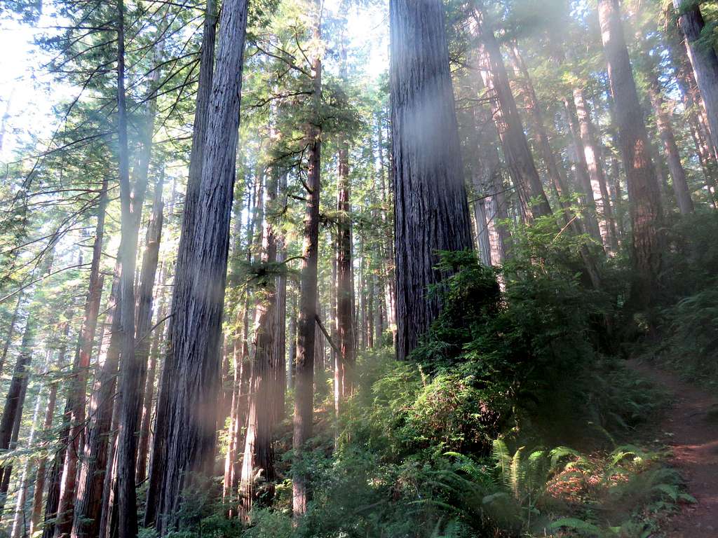 West Ridge French Trail Loop West Ridge Trail : Photos, Diagrams & Topos : SummitPost