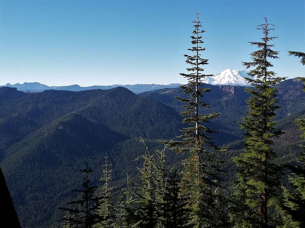 View from the trail south to Mount Rainier
