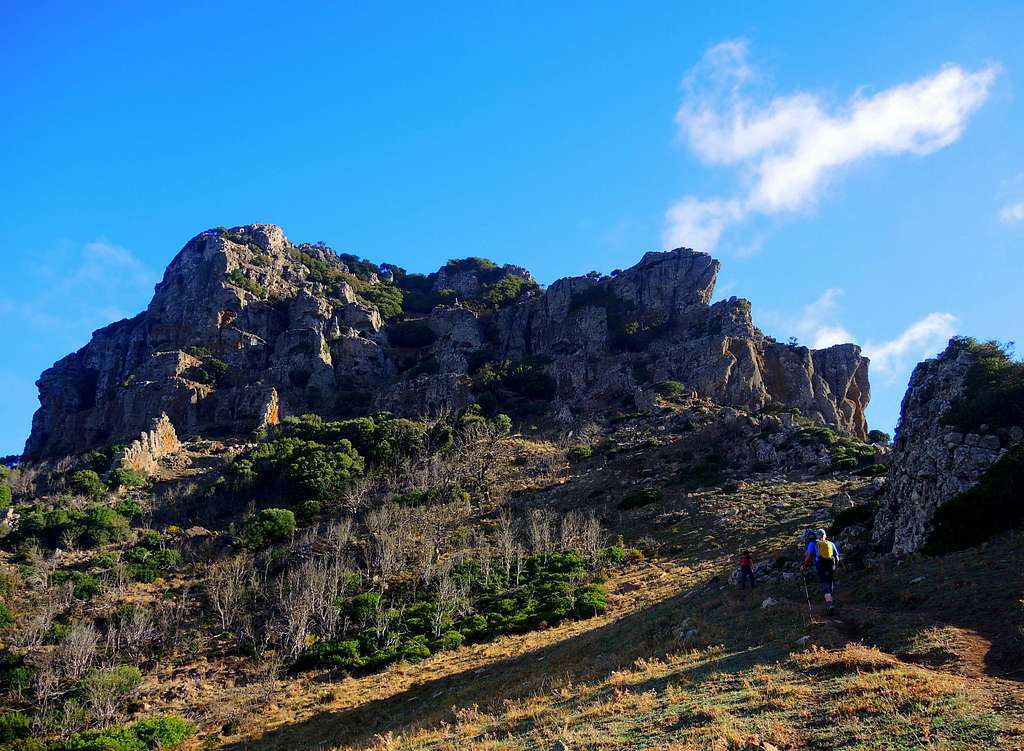The volcanic rocks of Monte Arcuentu