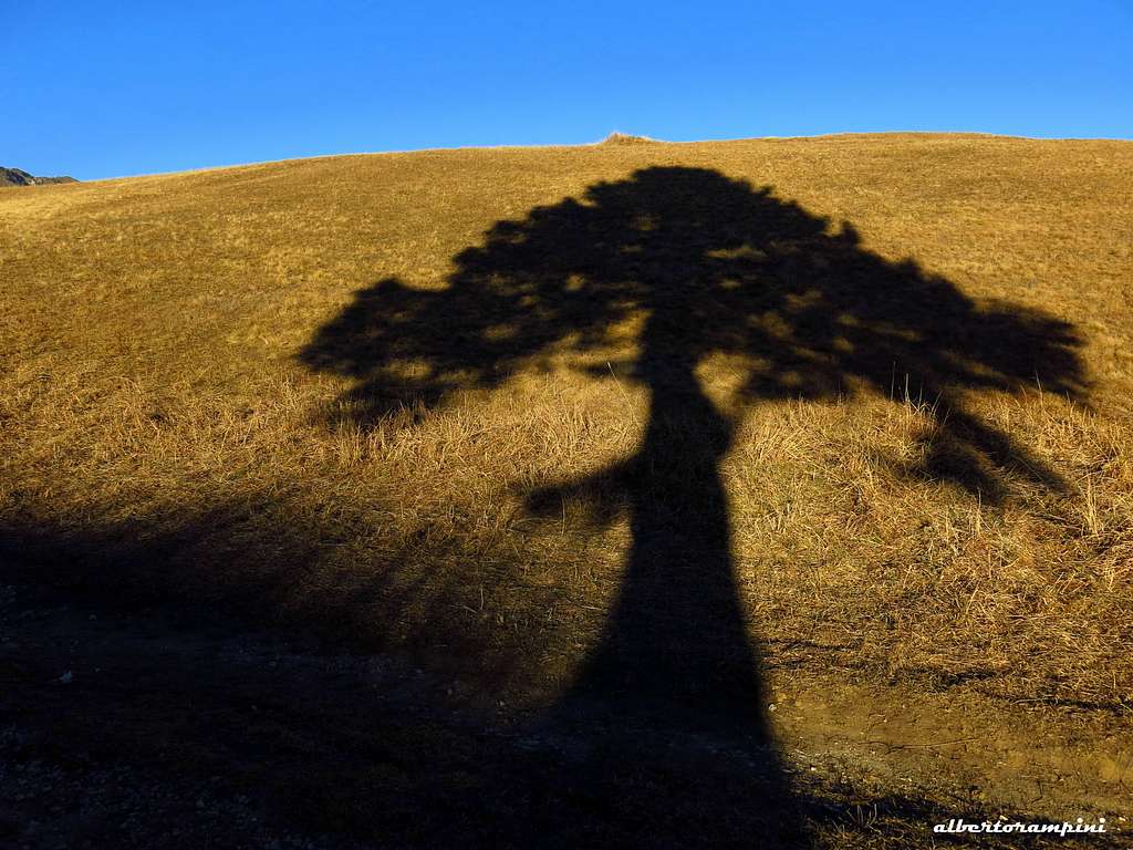 Long shadows at Passo Bordala