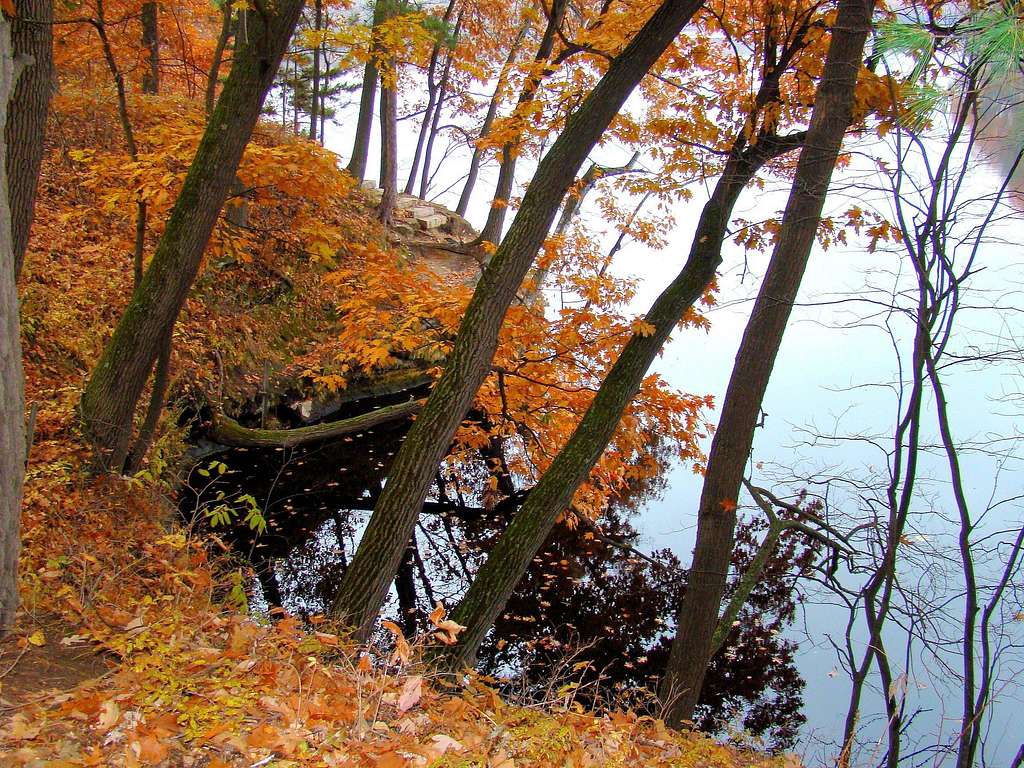 Autumn on the Banks of the Chippewa