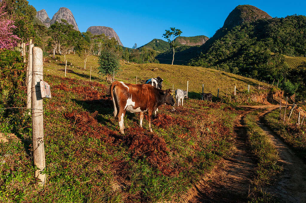 vale dos três picos