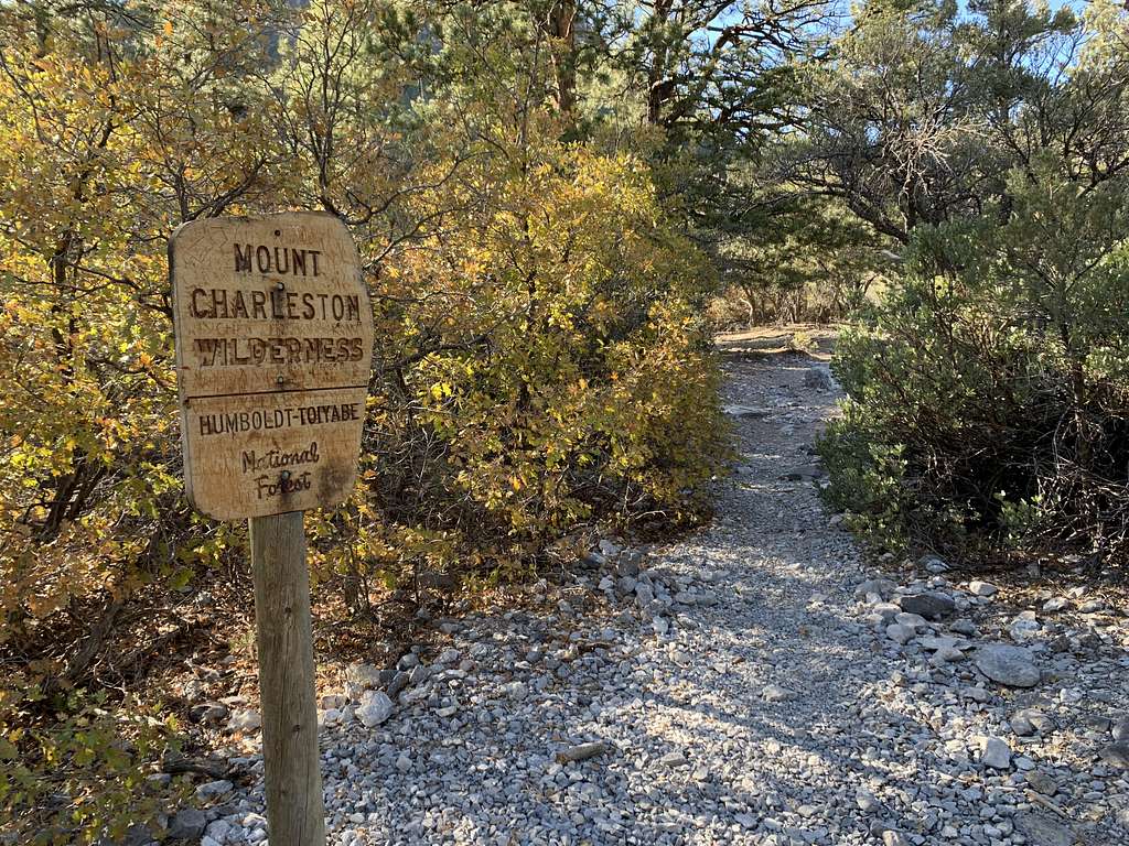 Mt Charleston Wilderness Area Sign on Fletcher Canyon Trail