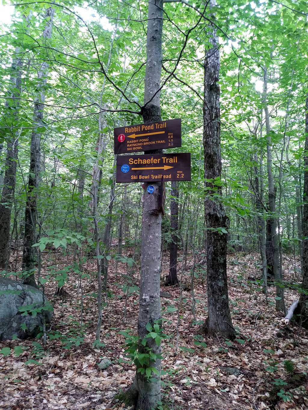 Middle of The Woods Sign 7/7/2018