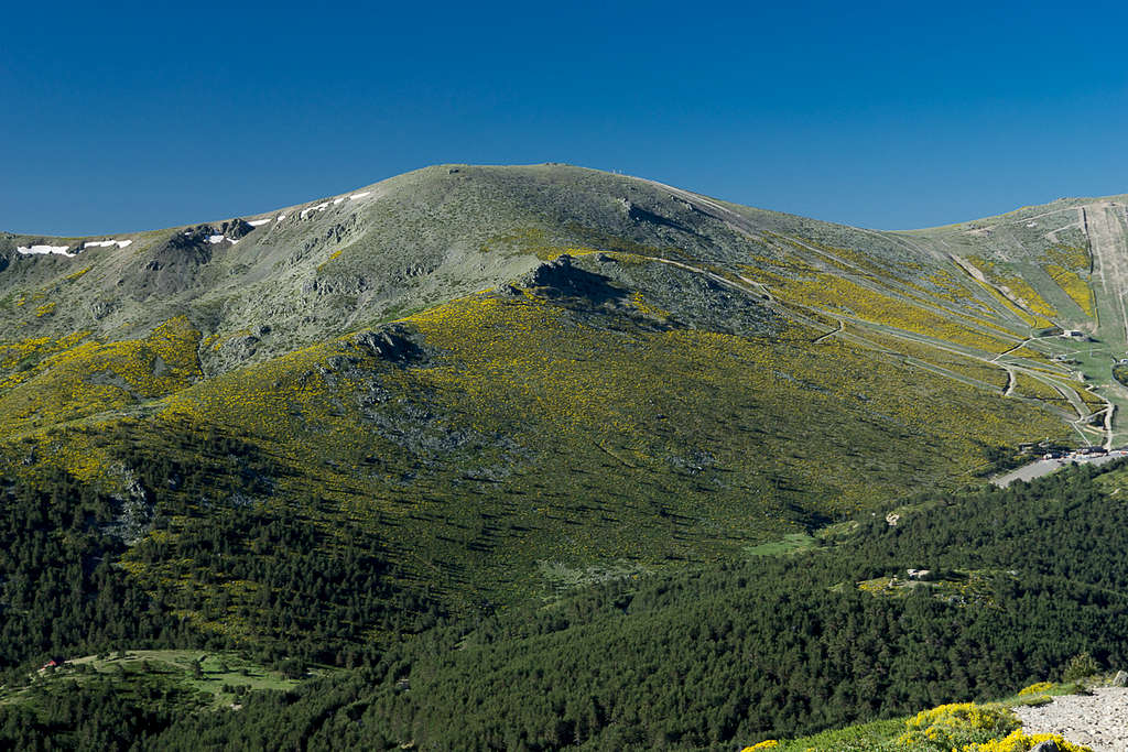 Cerro de Valdemartin