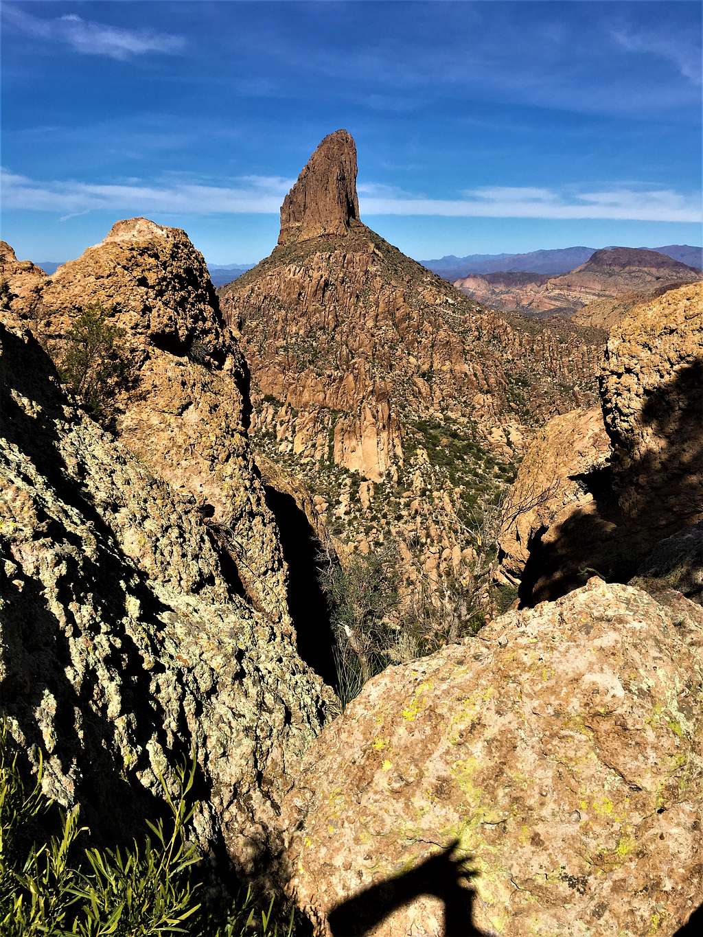 View north to Weavers Needle