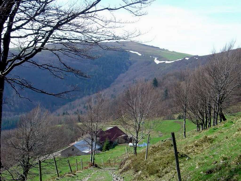 Steinwasen farm-inn (April...