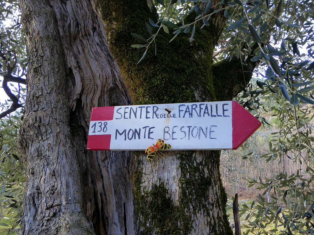 The signpost at the start of the Senter delle Farfalle