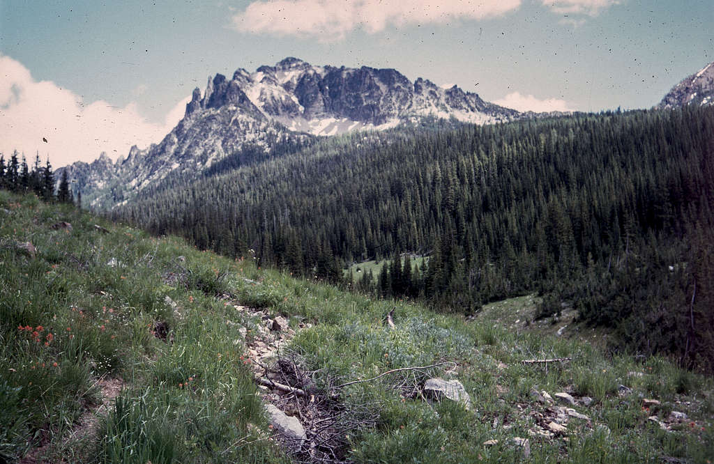 Saska Peak from the trail