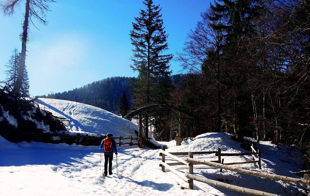 Reaching the wooden arch near Malga Stabio