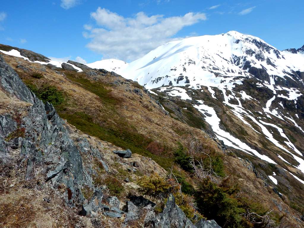 Hawthorne Peak looking South