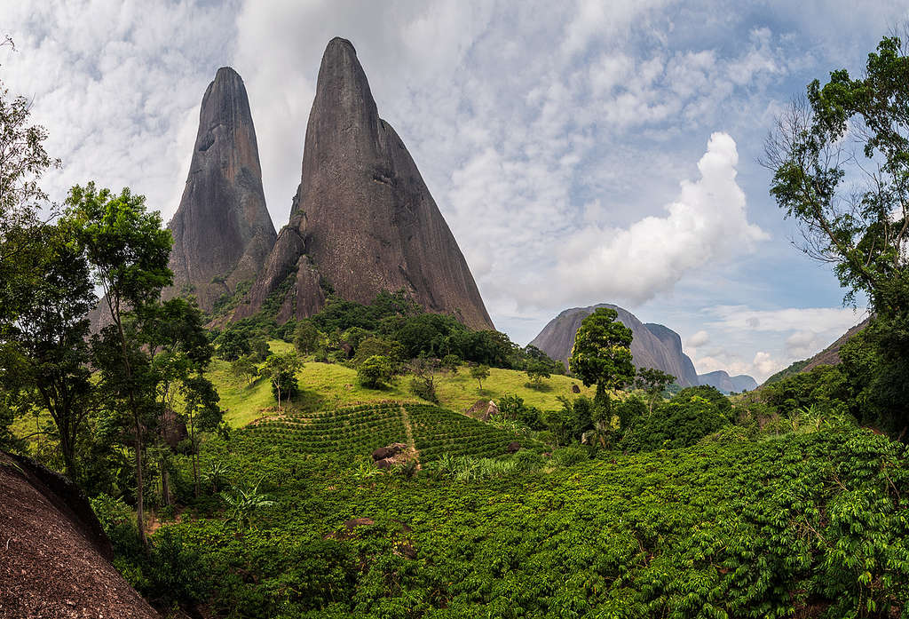 três pontões de águia branca