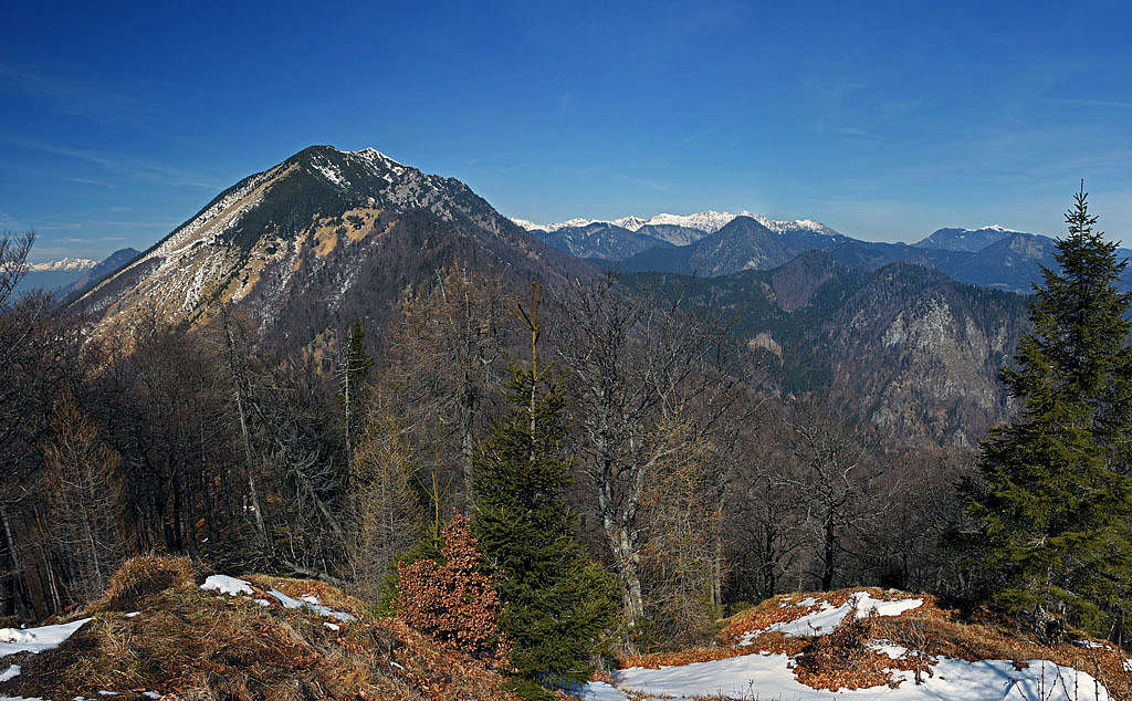 The view from Javorjev vrh