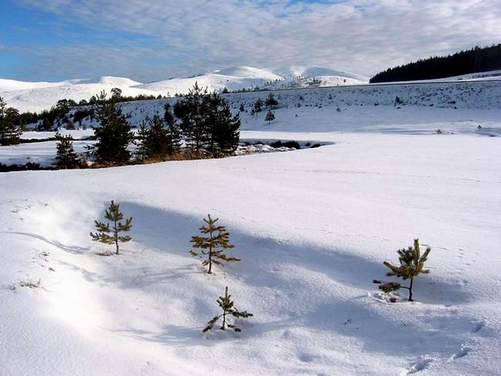 Winter scenery on Zlatibor....