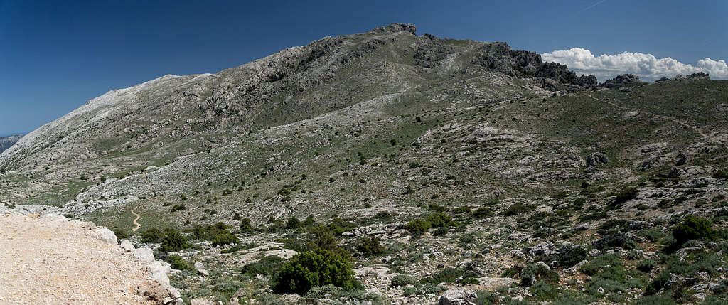 Monte Corrasi