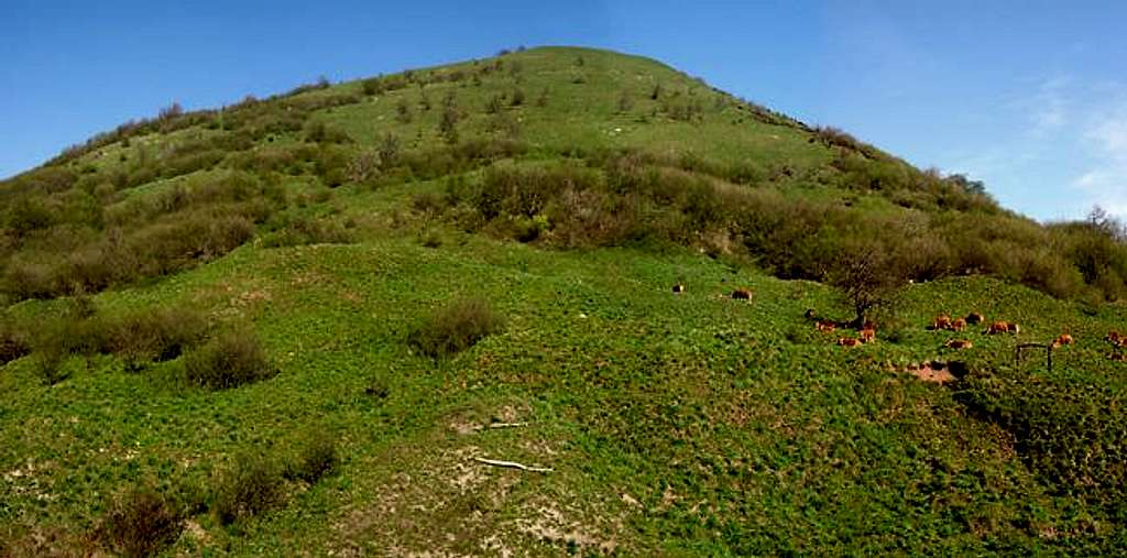 Panoramic view of the slope leading to Alpesisa
