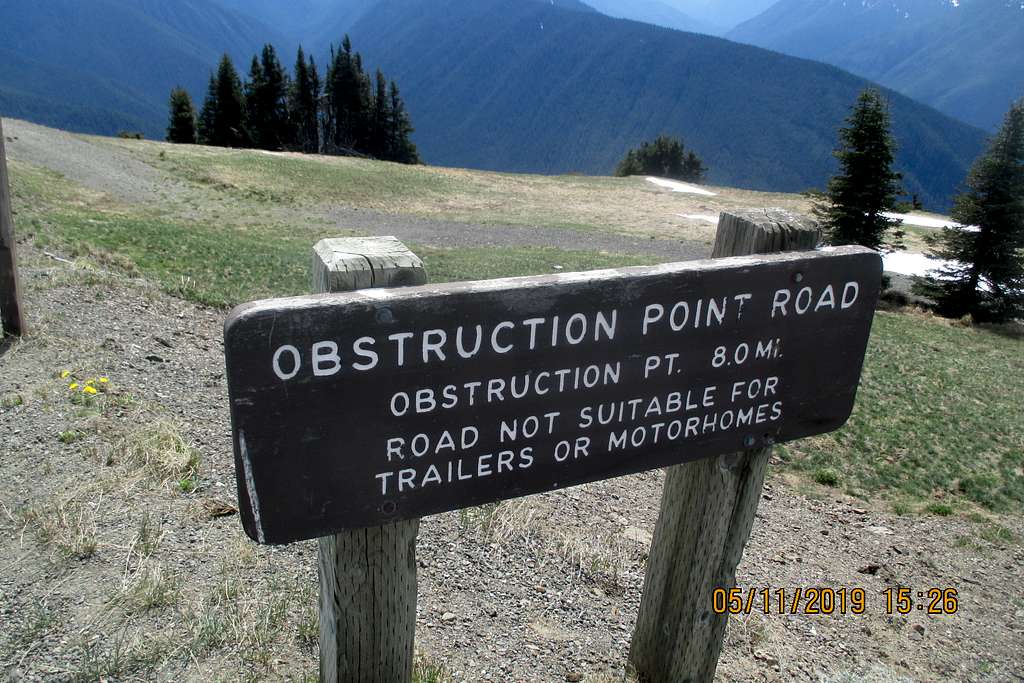 Obstruction Point Road Olympic (2)