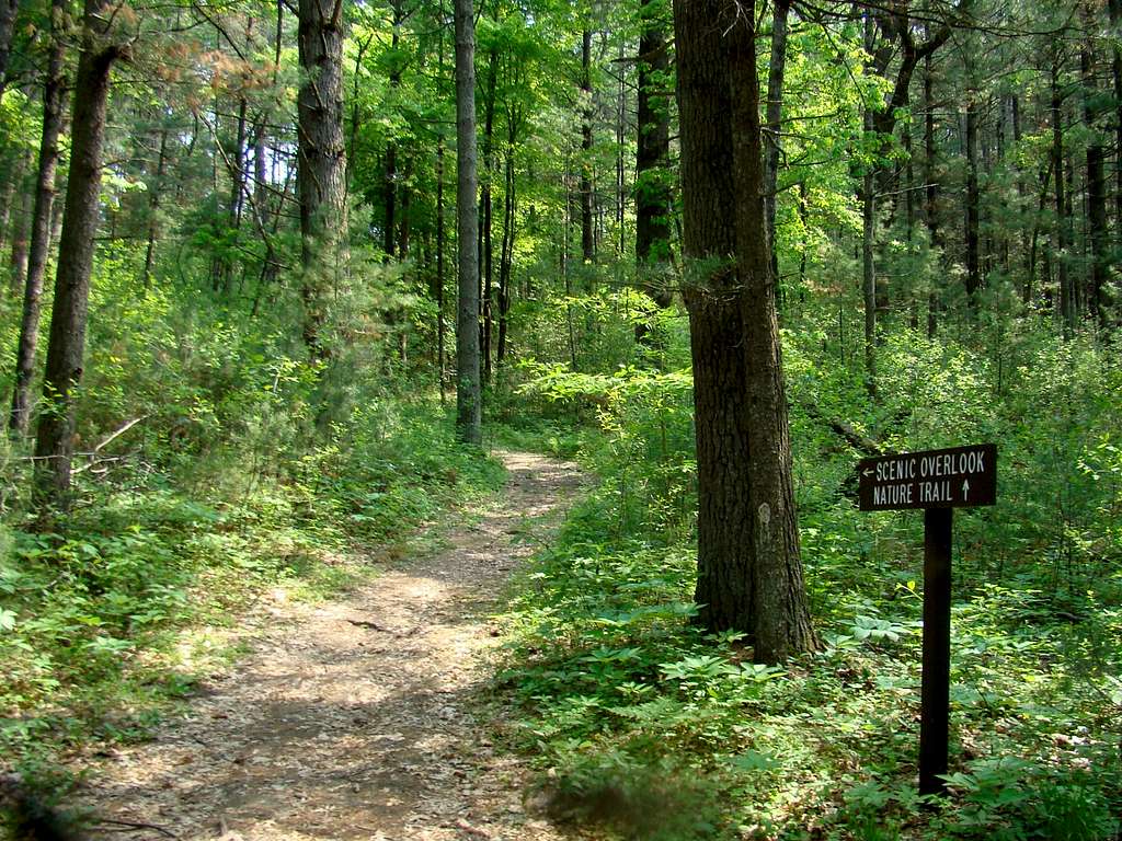 Castle Mound Overlook Trail Jct