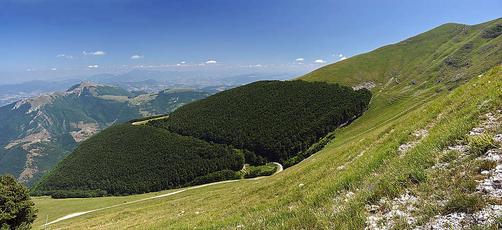 Tne N slopes of Monte Catria
