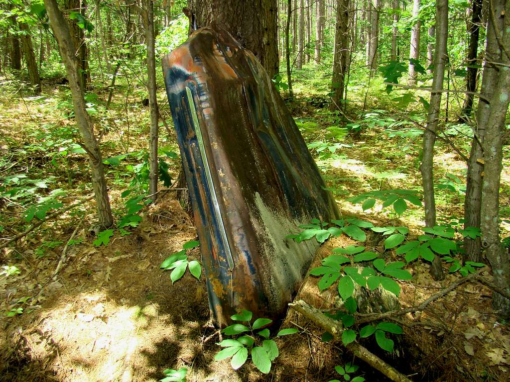 Levis Mound Forest Relic