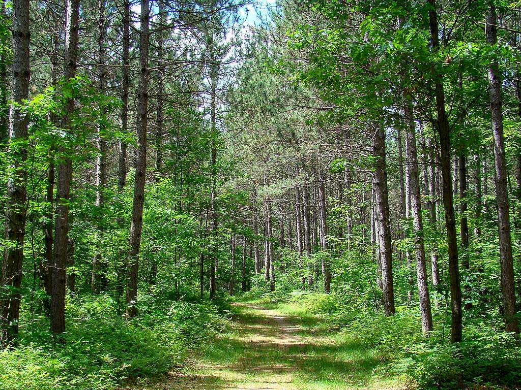 Pine Run Trail