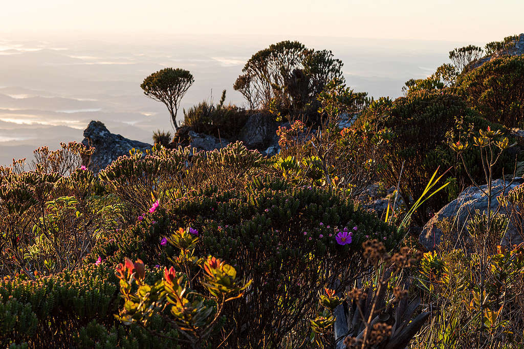 pico do itambé