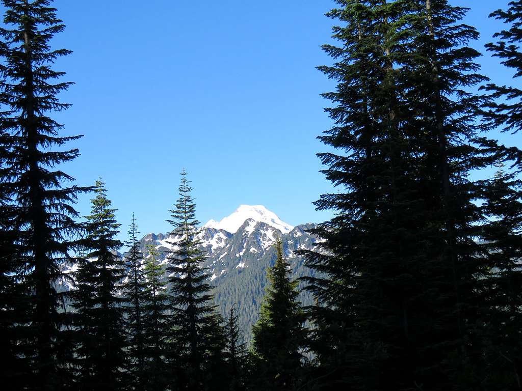 First view of Mt. Baker from the trail